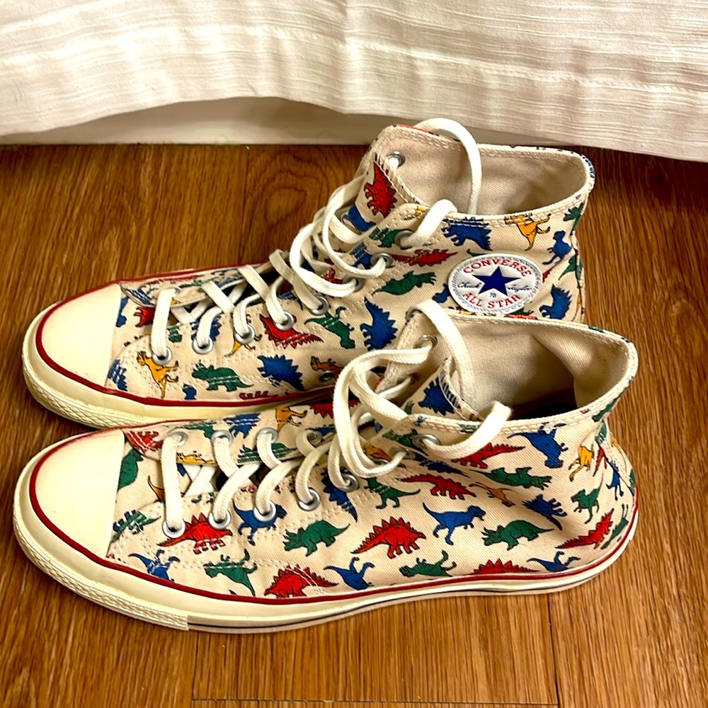 Men’s High Top Multi Color Dinosaur Limited Edition Converse